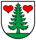 Wappen Gemeinde Gontenschwil Kanton Aargau Wappen Gemeinde Gontenschwil Kanton Aargau