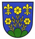 Wappen Gemeinde Berg (SG) Kanton St. Gallen