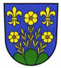 Wappen Gemeinde Berg (SG) Kanton St. Gallen Wappen Gemeinde Berg (SG) Kanton St. Gallen