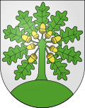 Wappen Gemeinde Montanaire Kanton Waadt Wappen Gemeinde Montanaire Kanton Waadt